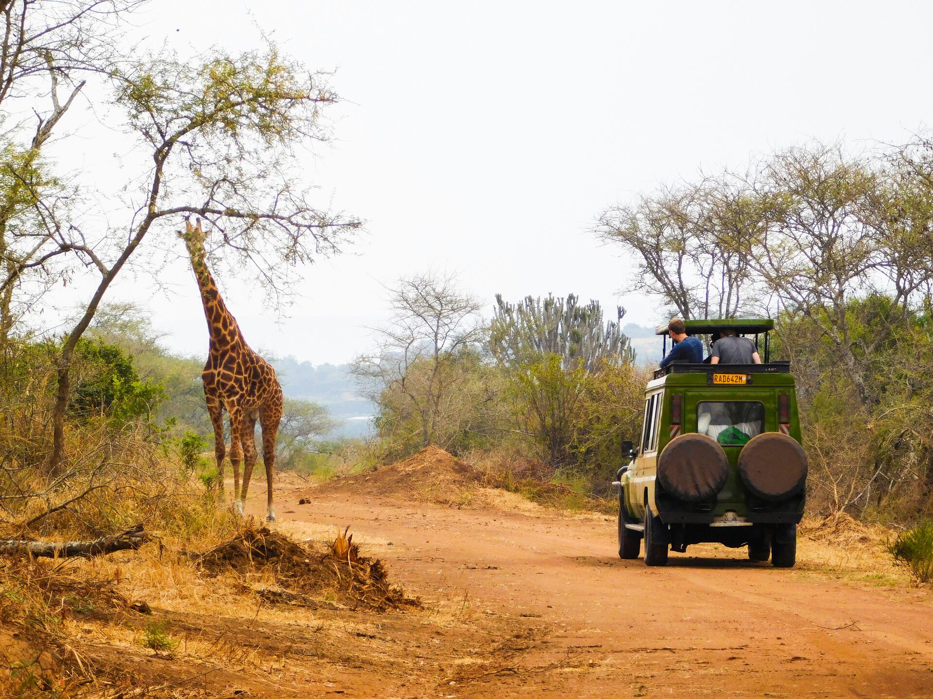 5-Day Classic Safari